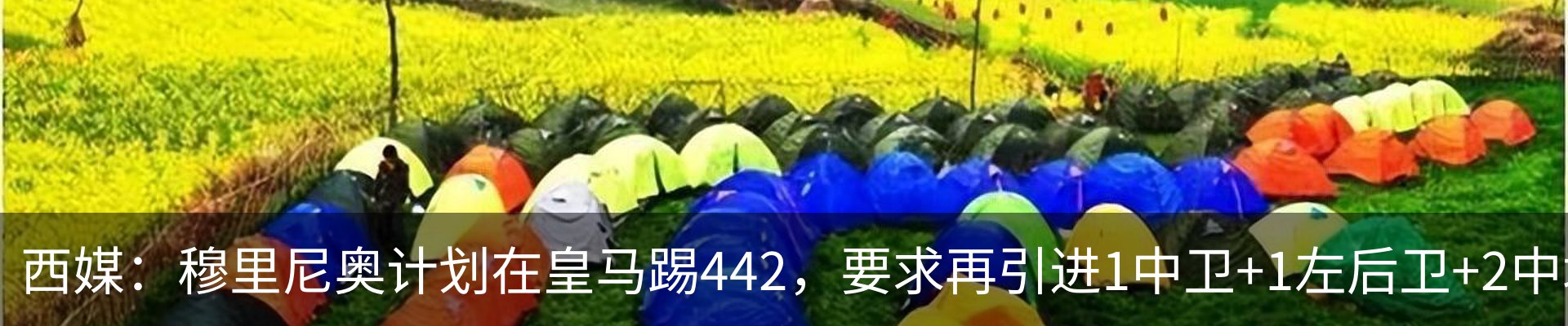 行业资讯